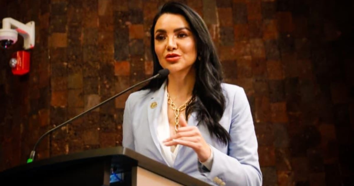 Vicecoordinadora de Vinculacion Parlamentaria del Grupo Parlamentario de Morena, Gabriela Jimenez Godoy.