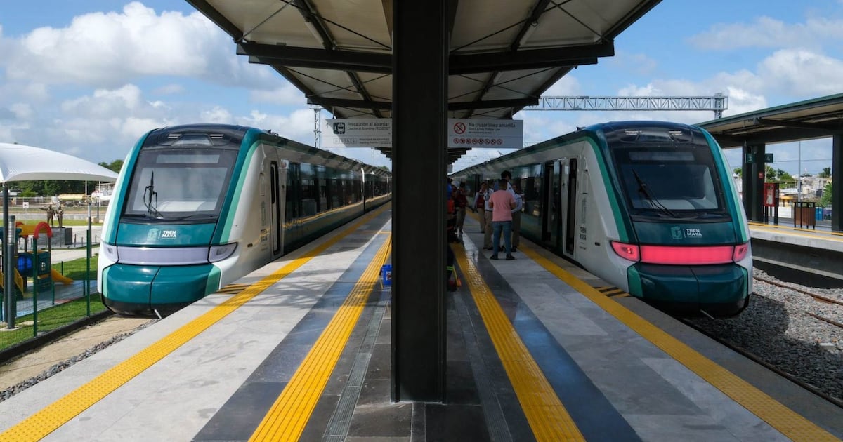 Estas son las perdidas del Tren Maya. (Foto: Cuartoscuro)