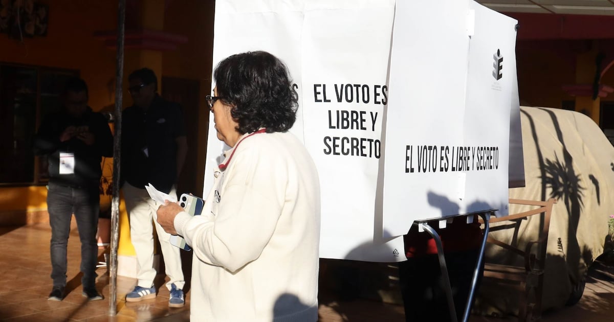 El Partido Verde critico que la reforma electoral planteada por la presidenta Sheinbaum incluya recortes al INE.