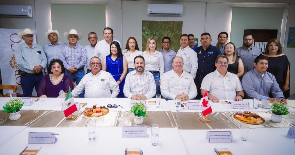 Oroco ha invertido 13 millones de dólares en Sinaloa durante su primera fase de exploración. Especial