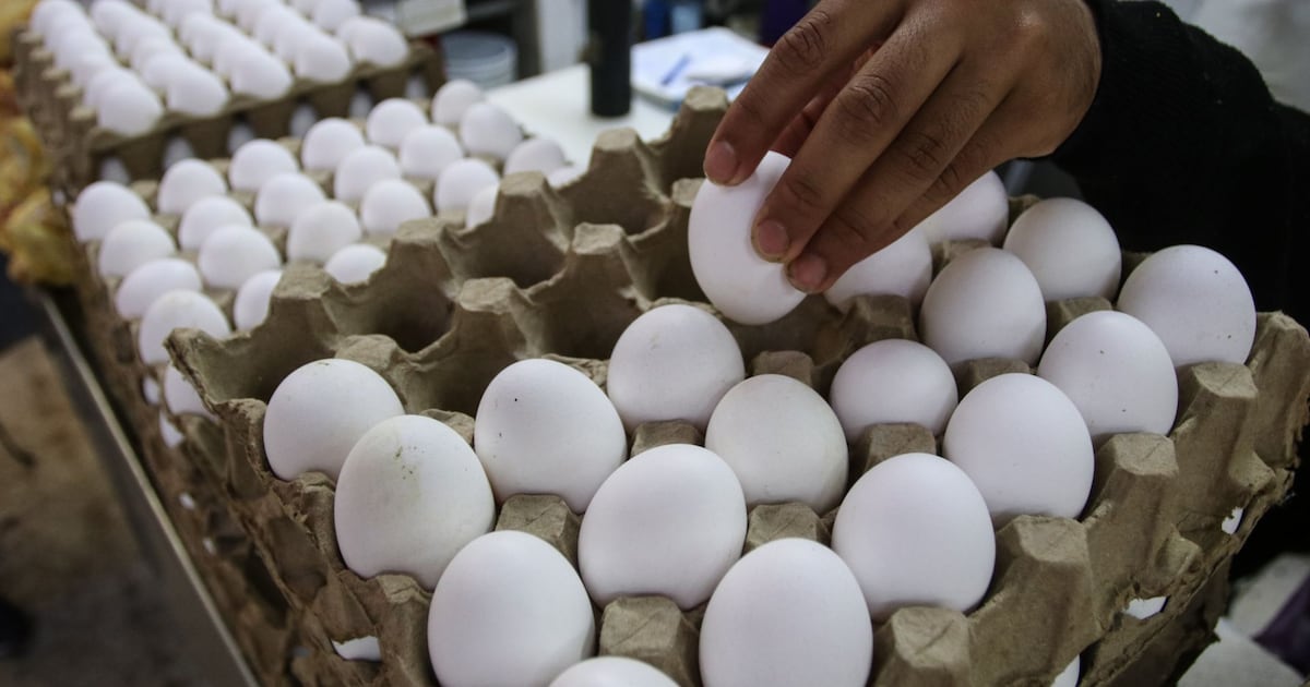 El kilo de huevo subió más de 5 pesos en el último mes.