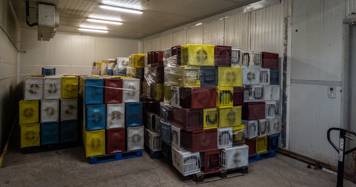 Parte del fuerte desempeño exportador obedece a que varias empresas adelantaron envios para evitar la eventual aplicacion de aranceles por parte de Estados Unidos.