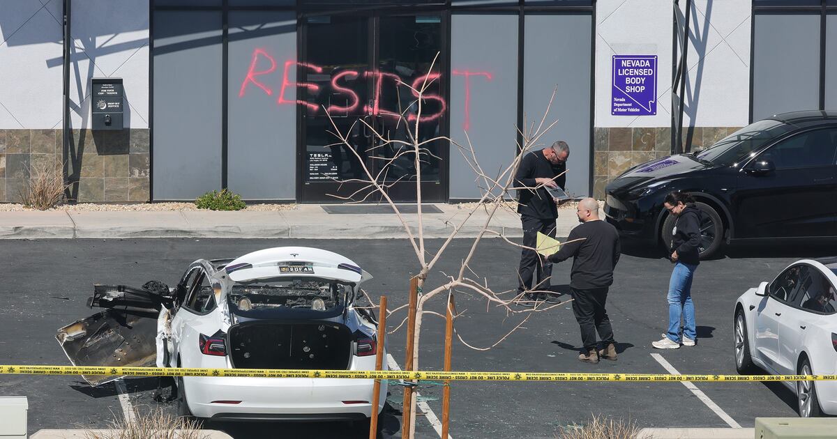 Desde Brooklyn hasta Austin y el Área de la Bahia, las protestas coordinadas de fin de semana en las salas de exhibicion atraen a mas gente cada semana. (Bloomberg).