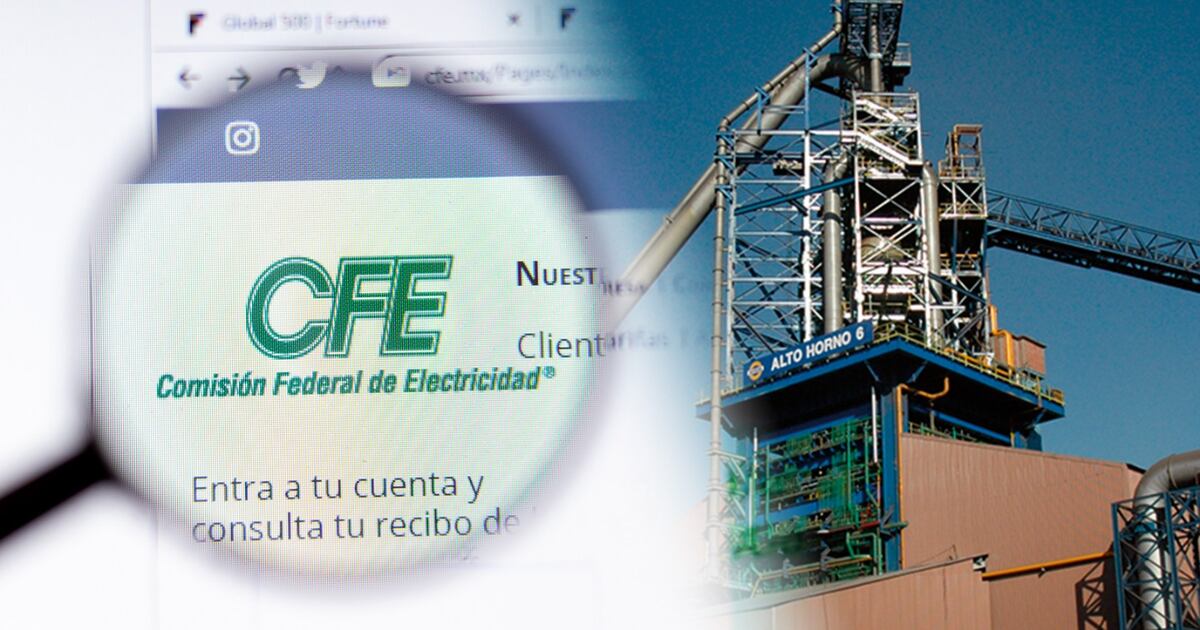 Las gestiones de pagos de Altos Hornos de México ante la CFE forman parte de una estrategia más amplia para mitigar los efectos del colapso financiero. (Especial).