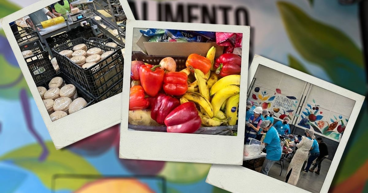 Aunque el Banco de Alimentos logro rescatar miles de toneladas en un año, esa cantidad representa menos del 1 por ciento de los alimentos que terminan en la basura. (Foto: Cecilia L. Garcia)