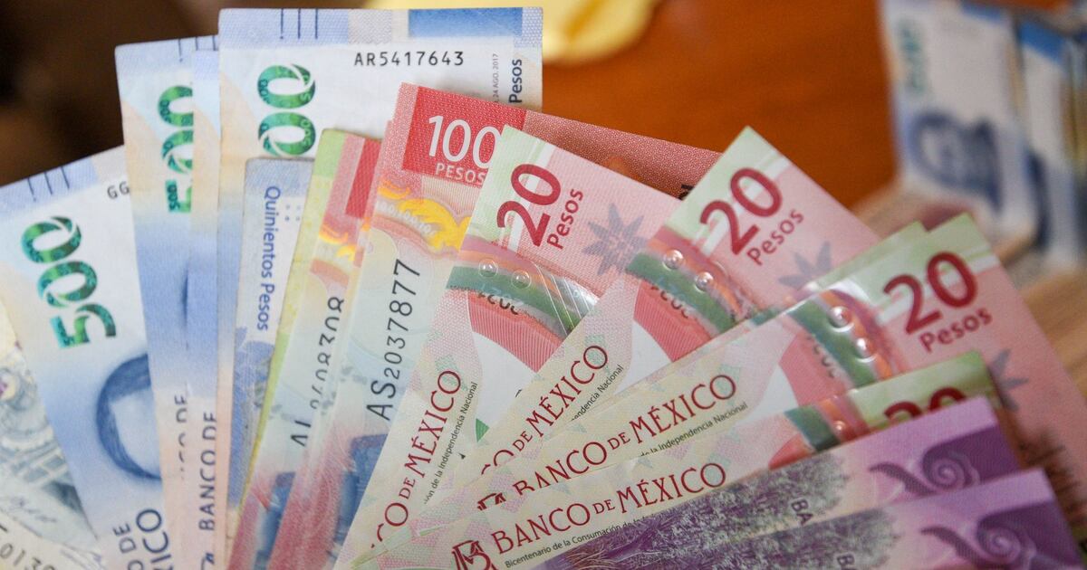 Esto sabemos sobre el apoyo social para personas de 30 años y mas en CDMX.