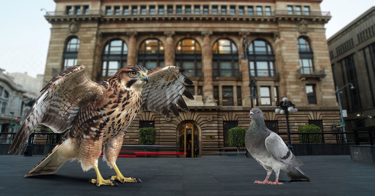 La votacion fue dividida, tres a dos: los “halcones” habrian sido los subgobernadores Jonathan Heath y Galia Borja, que se pronunciaron por mantener la tasa en 7 por ciento.