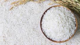 ¿Por qué el elevado precio del arroz pone en riesgo la seguridad alimentaria?