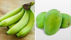 IPN descubre en mangos y plátanos propiedades para prevenir cáncer de colon
