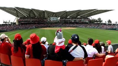 Precios de Diablos Rojos vs. Yankees: ¿Qué zonas hay en el Estadio Alfredo Harp y cuánto cuestan?