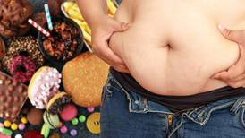 ¿Qué alimentos aumentan los niveles de grasa visceral en el organismo?