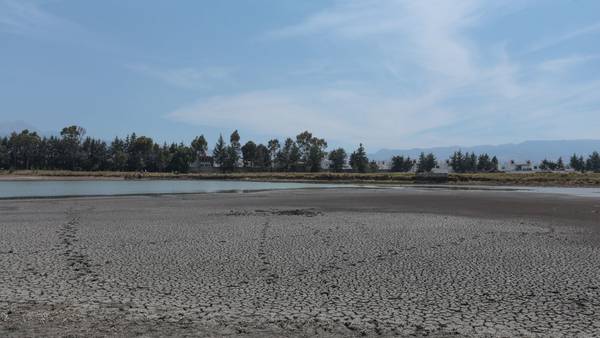 Crisis del agua en México: Agropecuarios piden un Plan Nacional Hídrico a 15 años por las sequías