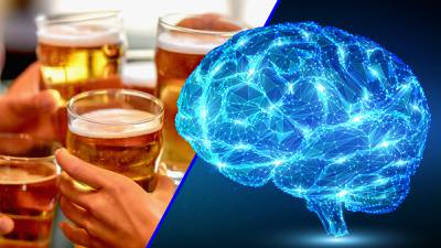 ¿Cómo afecta al cerebro el consumo de bebidas alcohólicas? Estos son sus efectos secundarios