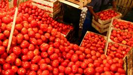 Exportaciones de tomate caen 15% en junio por arancel 'antidumping' de EU 