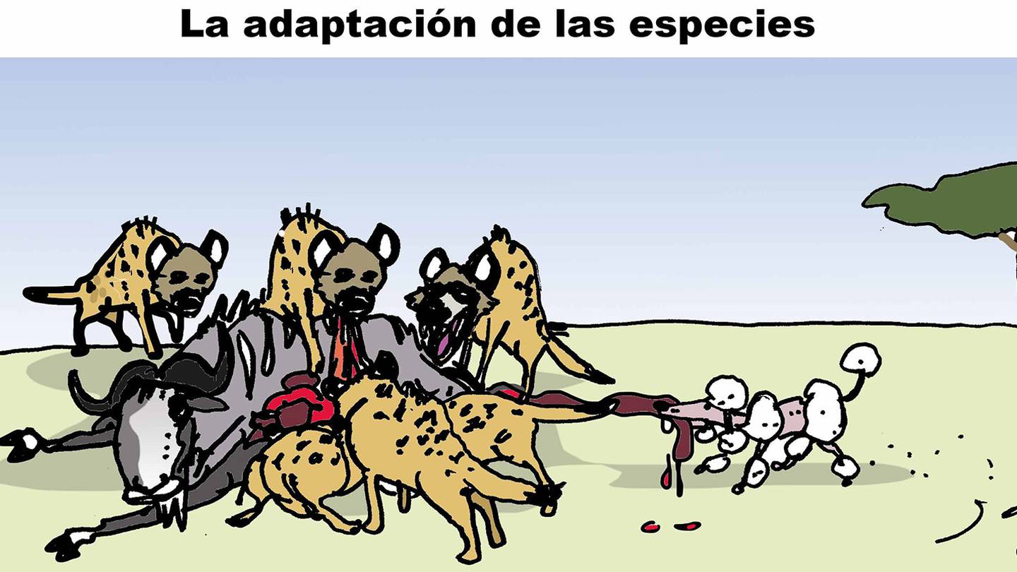 La adaptación de las especies – El Financiero