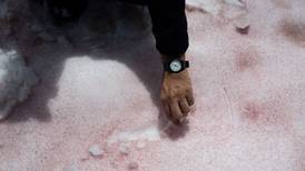 ¿Por qué el hielo de Los Alpes se pintó de rosa?