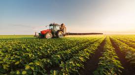 Sector agropecuario solicitará presupuesto de 82 mil 500 mdp
