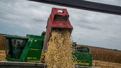 Aranceles a maíz blanco: ¿Cuánto exporta México?
