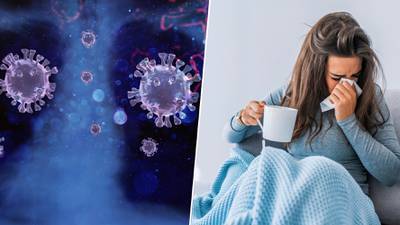  ¿Cómo saber si padezco de gripe, COVID-19 o una alergia? 