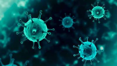 ¿Están vivos los virus? Esto explican los científicos de los microorganismos como el COVID