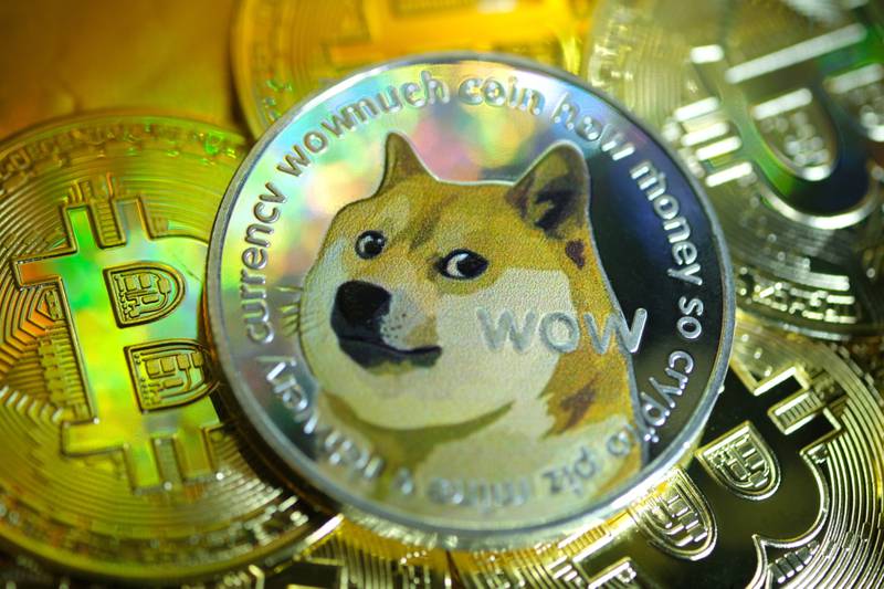 Does Musk benefit? Twitter logo change boosts Dogecoin 30% on Tuesday