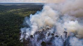 ¿A qué niveles llega la deforestación mundial? Puede cubrir completamente a Bélgica