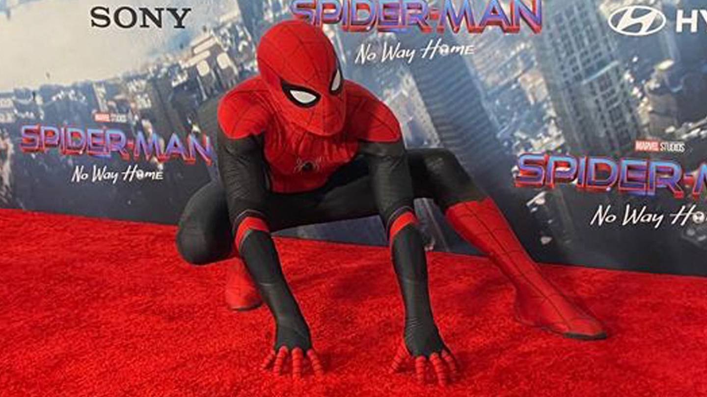 Spider-Man: ¿En qué orden ver todas las películas del 'Hombre Araña'? – El  Financiero