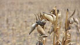 Sader anuncia llegada de fertilizantes de China para ‘amortiguar’ alza de precios