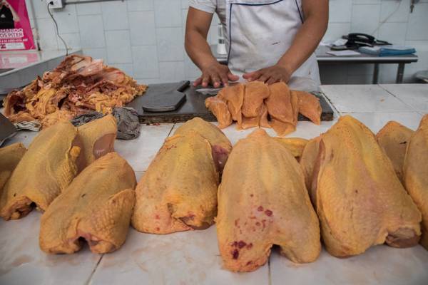 Kilo de pechuga de pollo cuesta hasta 162 pesos: Profeco 
