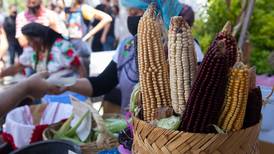 México no está listo para ser autosuficiente en maíz: Bayer