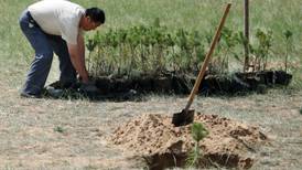 Proteger y recuperar el suelo, un recurso crucial bajo amenaza