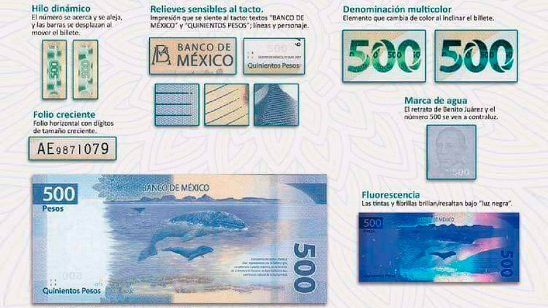 Para que no te 'chamaqueen', aquí te decimos cómo identificar los billetes  falsos de 500 – El Financiero