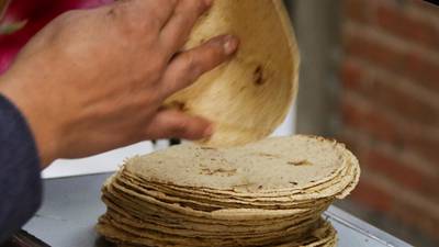 EU exige a México retrasar prohibición vs. maíz transgénico en tortillas