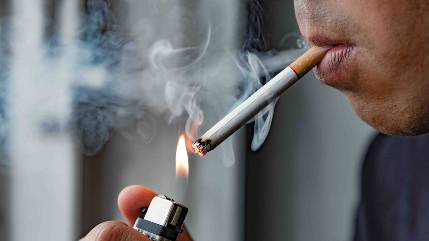 PROHIBIDO FUMAR POR DISPOSICIÓN OFICIAL MOD.831 - Vértice Industrial