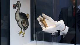¿Jurassic World a la vista? Inversionistas apoyarán para ‘revivir’ al mamut y al pájaro dodo