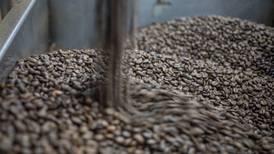 Superávit de café crecerá en este año, adelanta la OIC