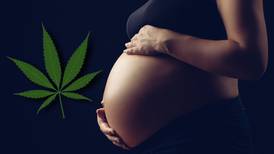 ¿Es seguro el consumo de cannabis en el embarazo? Estudio revela sus efectos