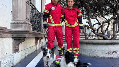 Premian a Orly y Balam por su trabajo en Turquía: Construirán escuela para perros en Querétaro