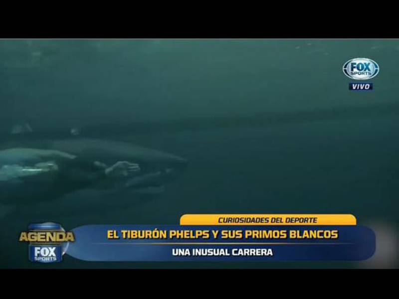 ¡Finalmente Phelps perdió! Contra 'su primo' el tiburón blanco
