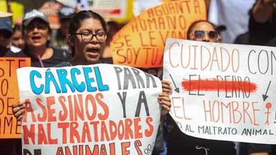 ‘Lomito bonito, no estás solito’: Marchan en la CDMX contra el maltrato animal
