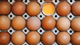México, el principal consumidor de huevo a nivel global, con 23.7 kilos por persona al año