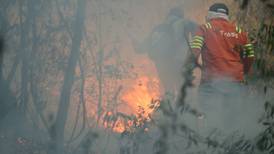 México en llamas: Hay 95 incendios activos en el país, informa Conafor