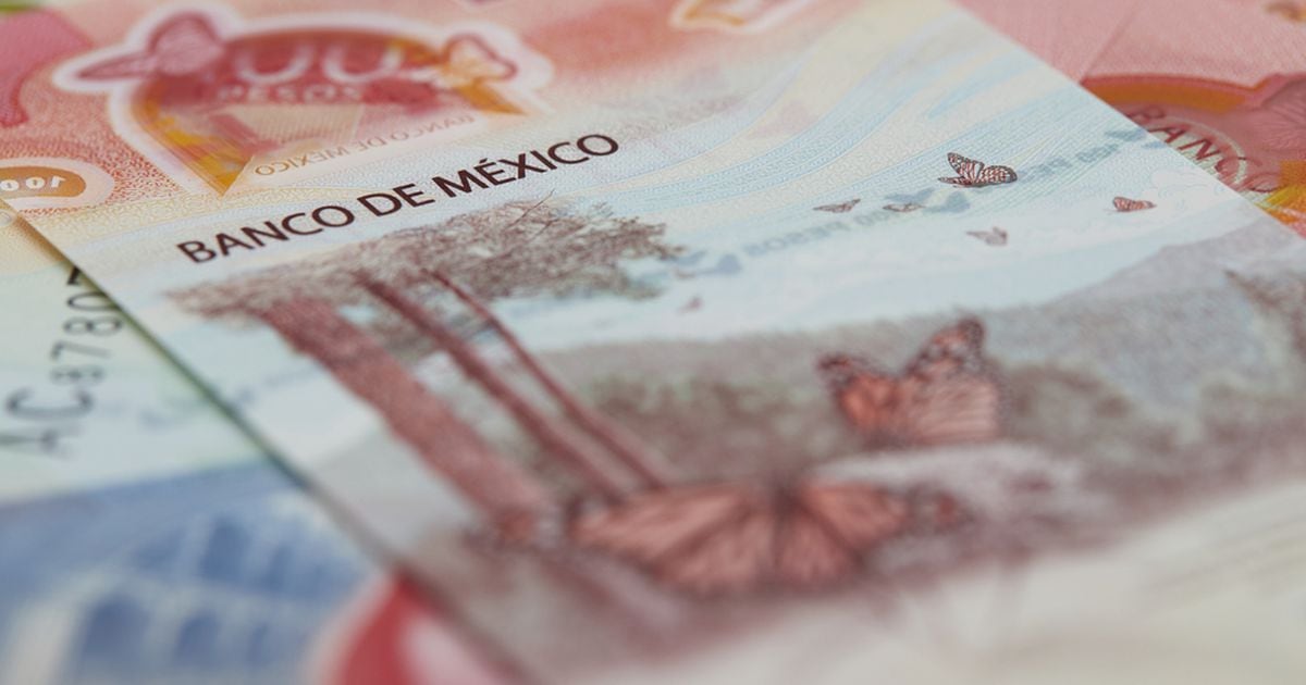 Para que te presten hasta 500.000 pesos para tu negocio en CDMX – El Financiero