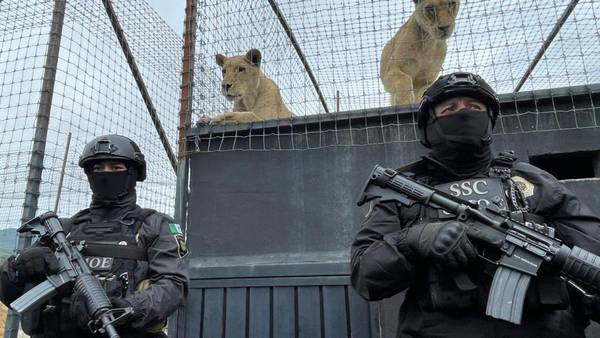 Policía capitalina asegura predio en el Ajusco donde tenían fauna exótica en condiciones de maltrato
