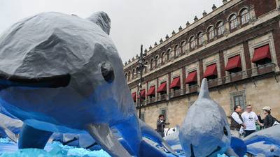 ‘Manotazo’ de EU a México por ‘descuido’ a vaquita marina: pide consulta bajo el T-MEC