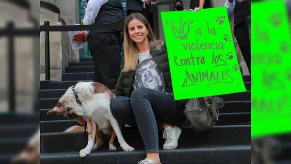 Candidata Elvia Estrada se compromete con impulsar el bienestar animal de ‘lomitos’ en Congreso CDMX 