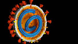 La pandemia pudo ser en 2004, cuando se ‘fugó’ un coronavirus de un laboratorio