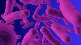 Las bacterias que viven en tu intestino revelan tu verdadera edad