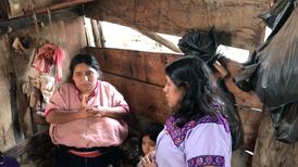 Indígenas desplazados de Chiapas, en riesgo por hambruna; pandemia agravó su situación