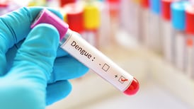 Diagnostican en Europa primer caso de dengue por transmisión sexual: El País